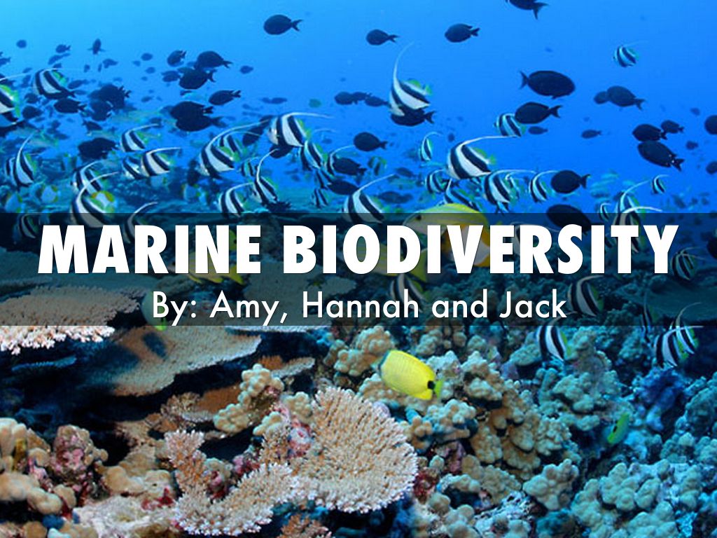Marine biodiversity