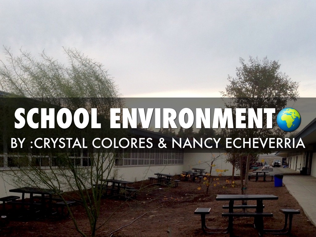  school environment 