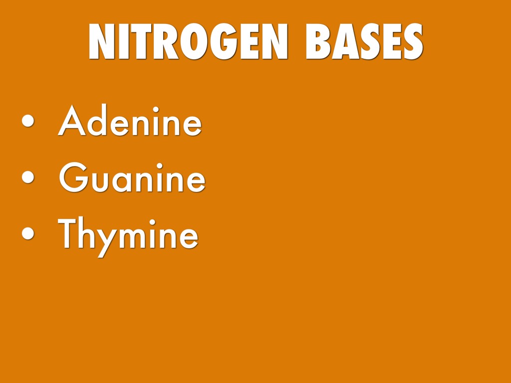 Chapter 12 Biology by Jasmine Lewis