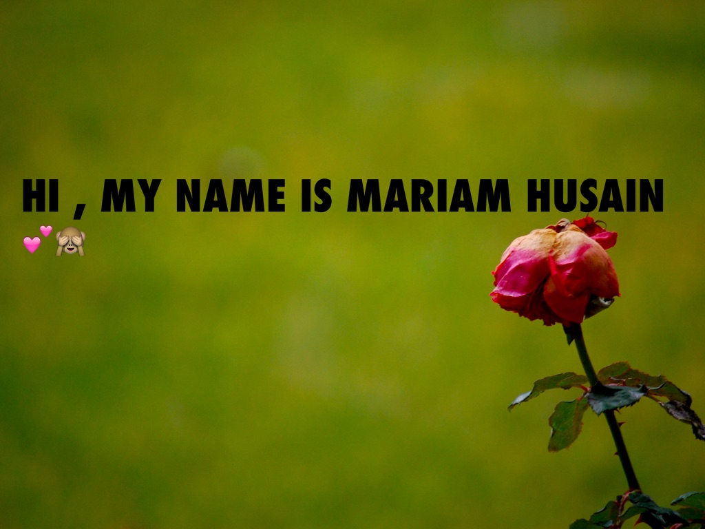 Copy of Mariam.Husain💕