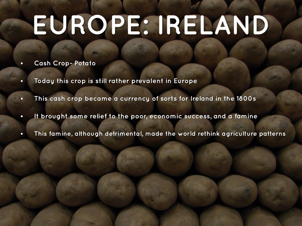 Agriculture Technology Cash Crops by jns0073