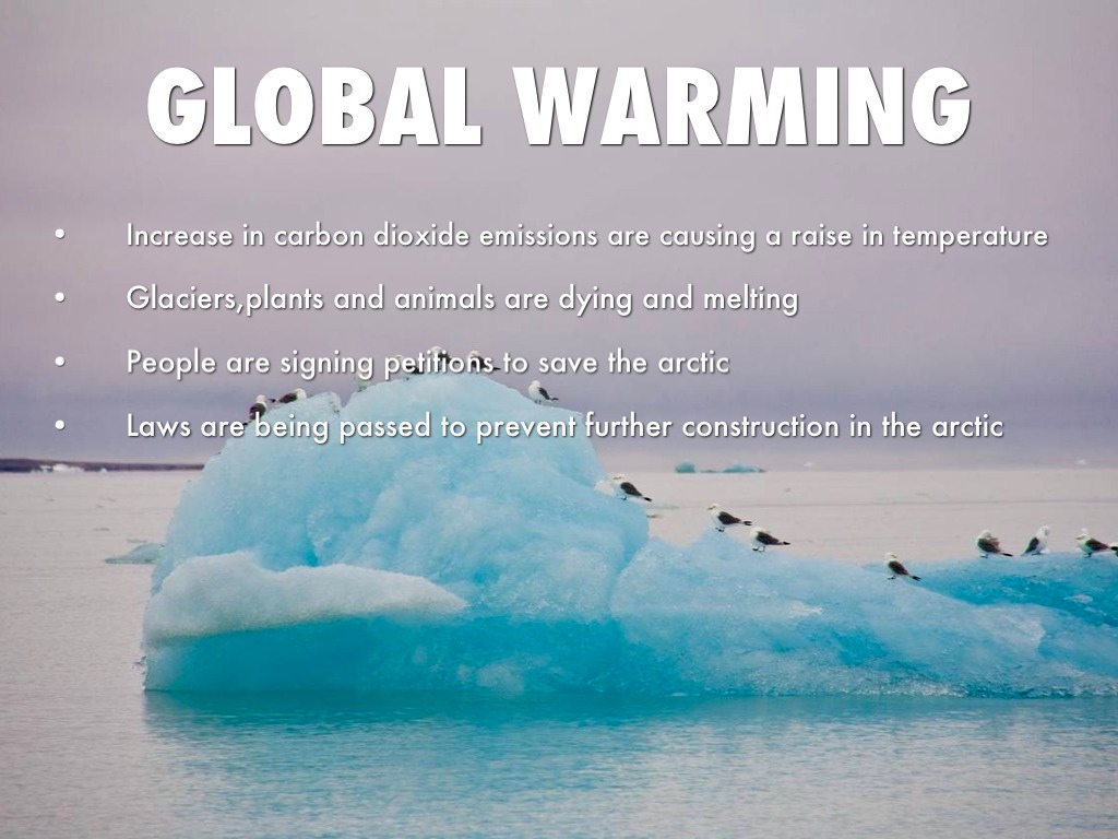 Arctic Tundra by Lougheed Library 7