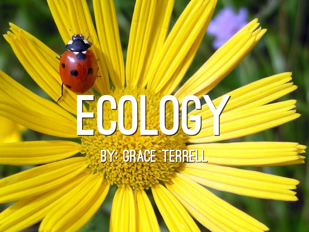 Ecology