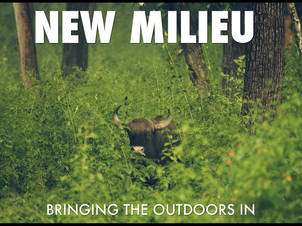 Team 6 Rock & Redesigned