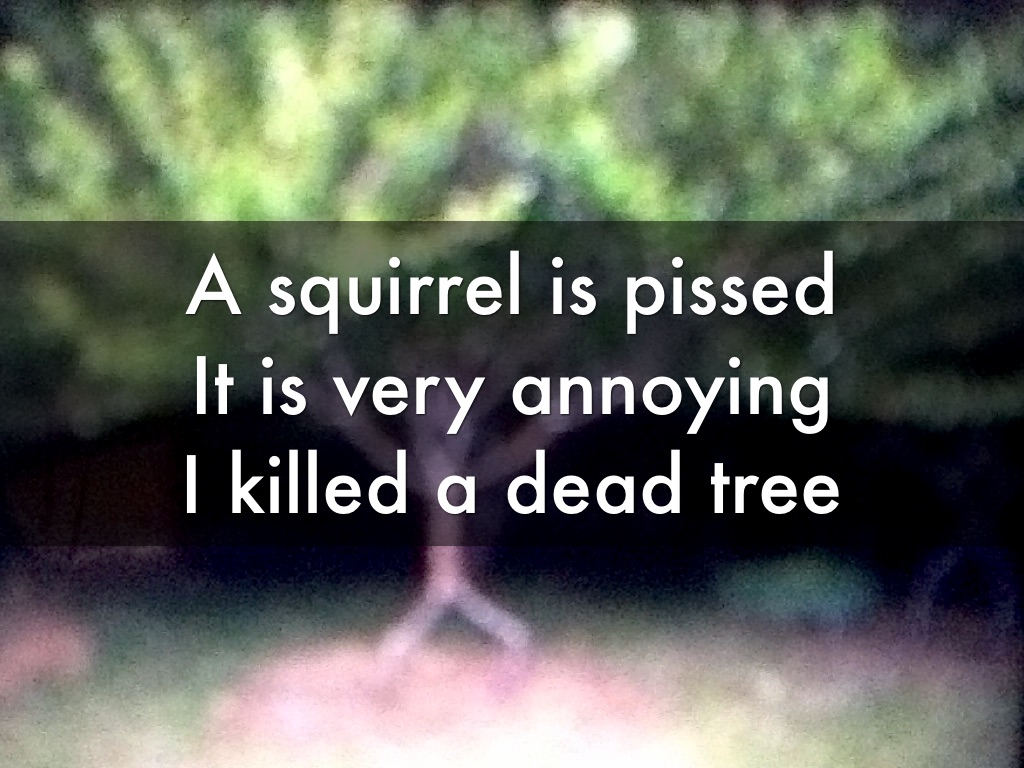The Pissed Squirrel