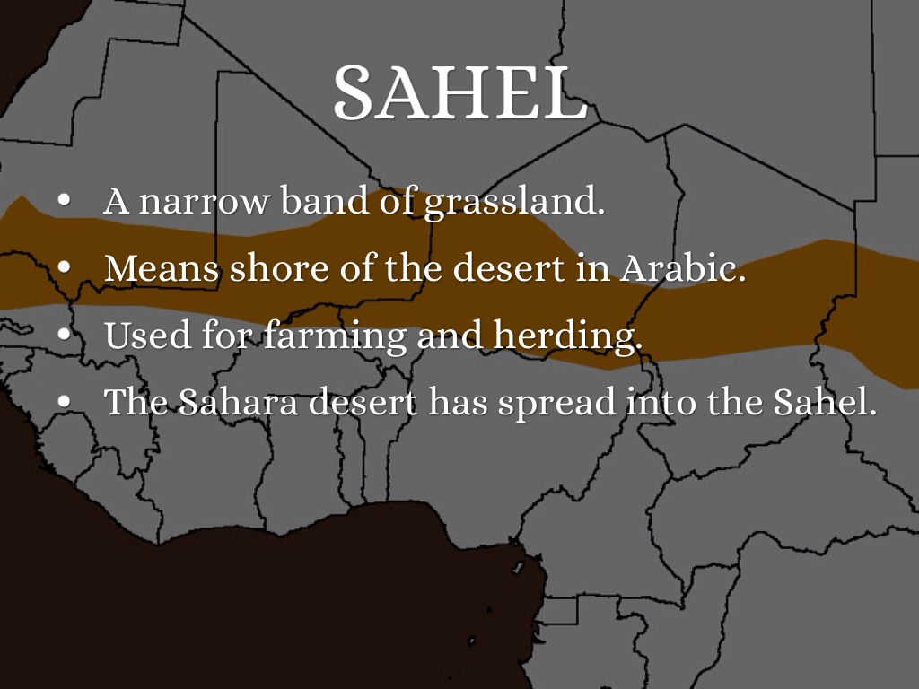 Africa by Catherine Ljunggren