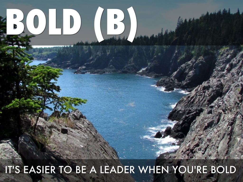 The Elements Of Leadership