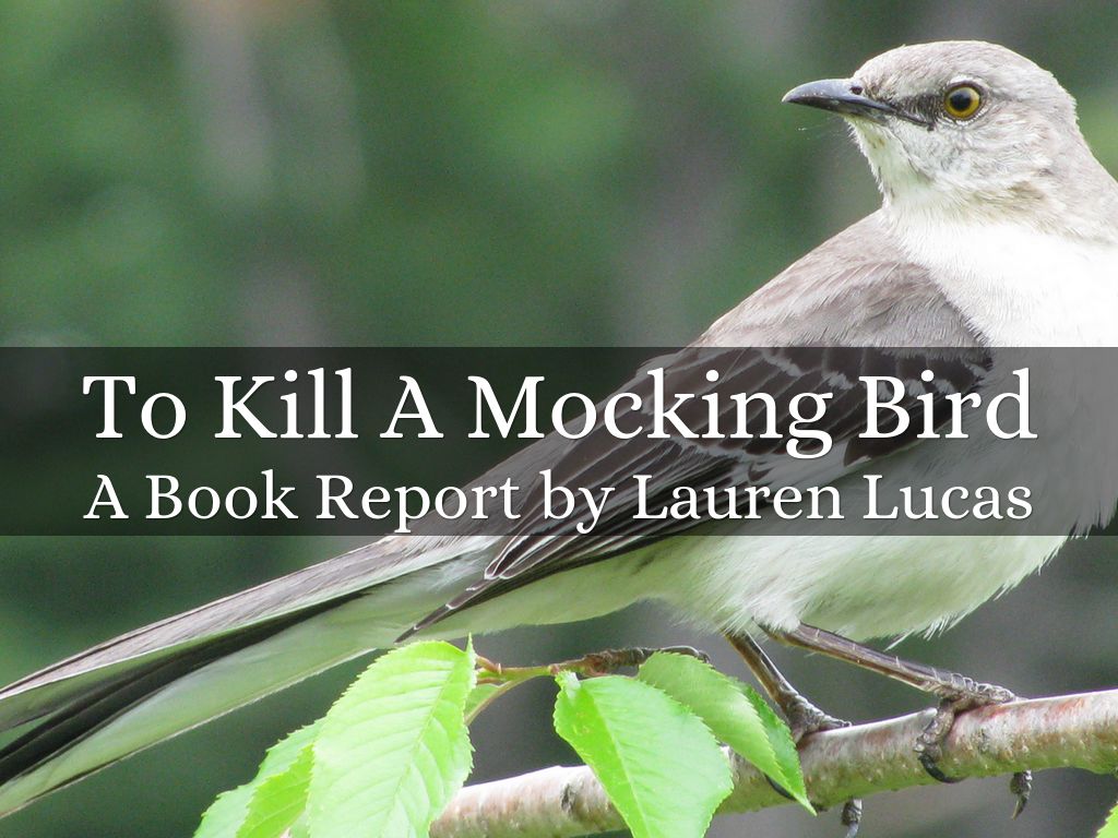 to kill a mocking bird quick notes