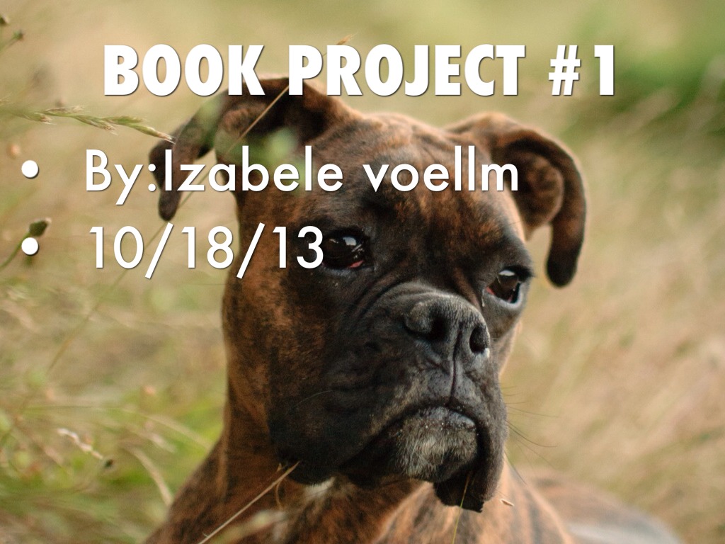 Book Project