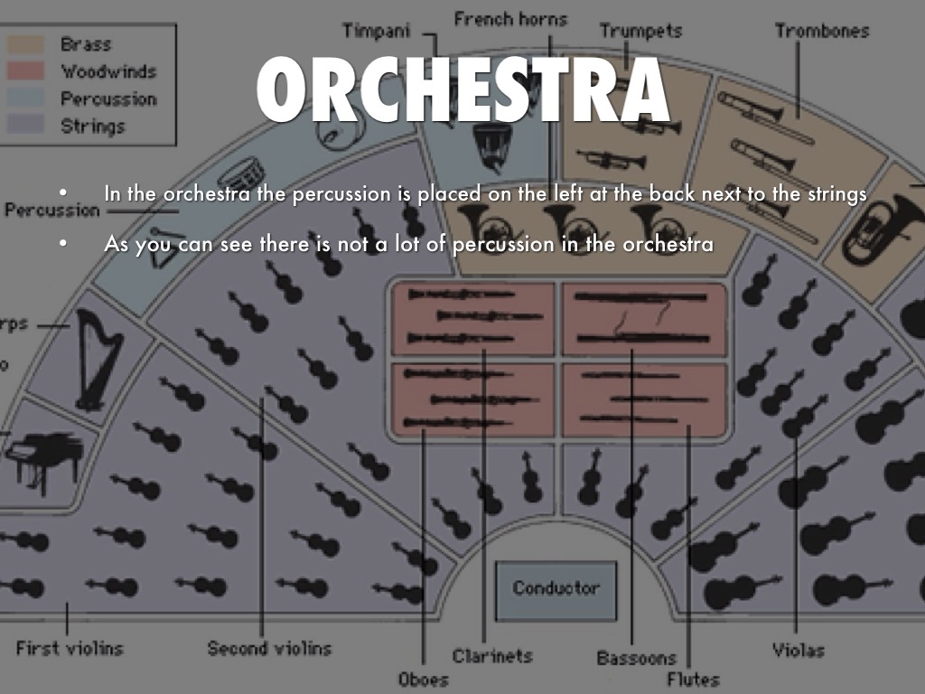 Percussion by Kelsey Blood