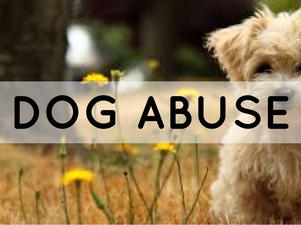 Dog Abuse