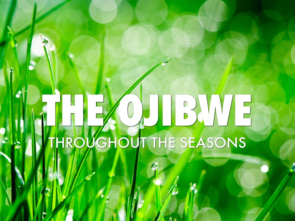 Ojibwe Seasons 
