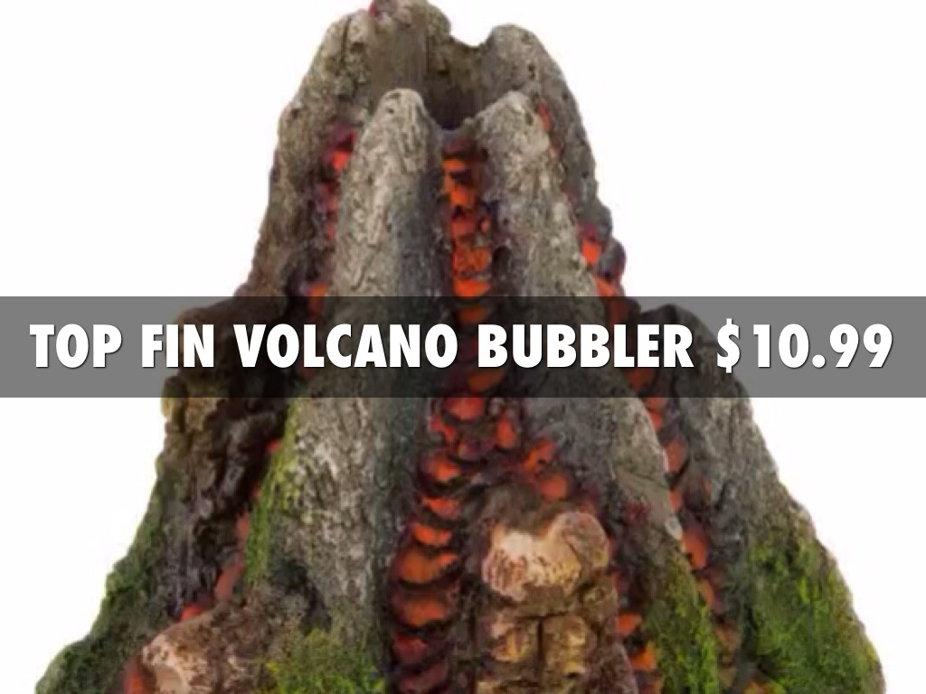 Science Lab Aquarium by Red Group