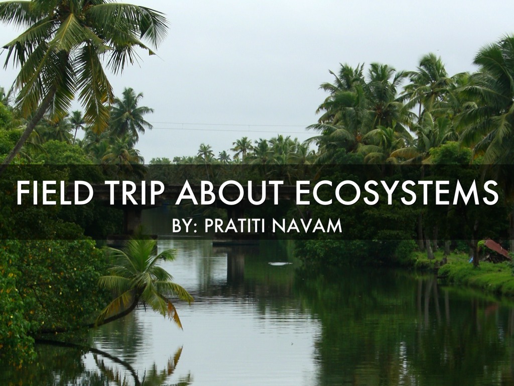 Field Trip On Ecosystems