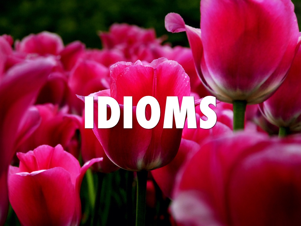 Copy of Untitled Haiku Deck