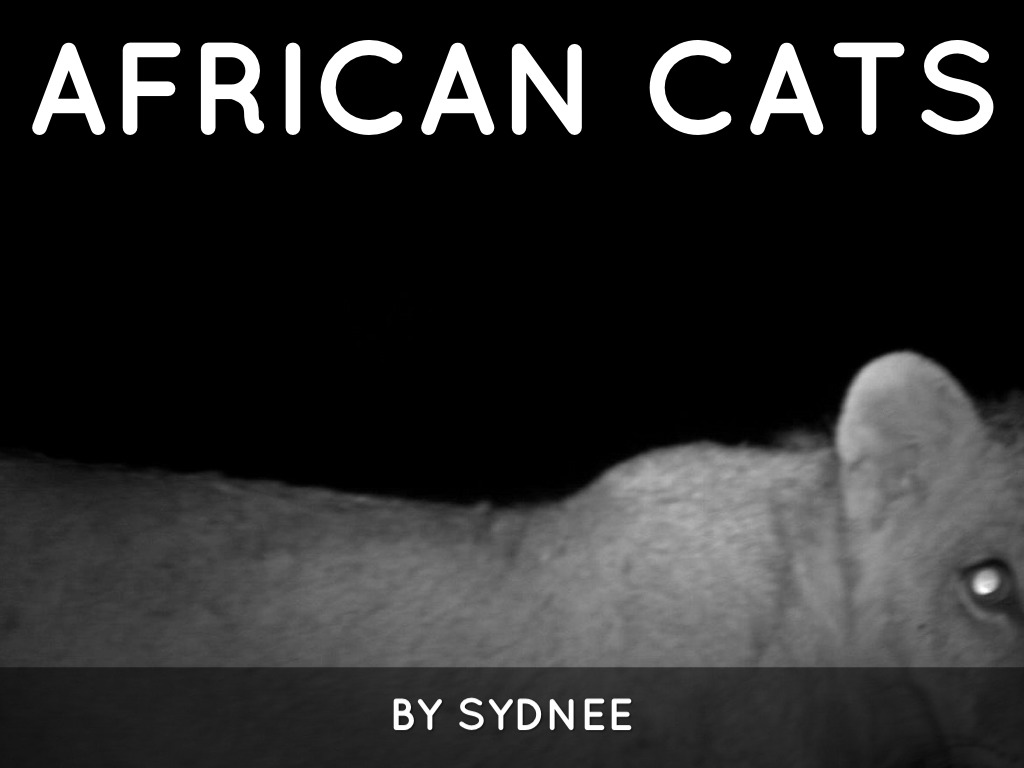 An Upside-down Life.