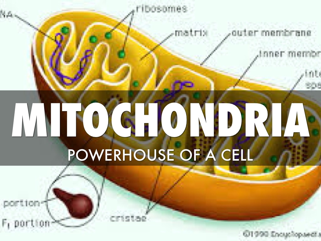 read analysis and interpretation of