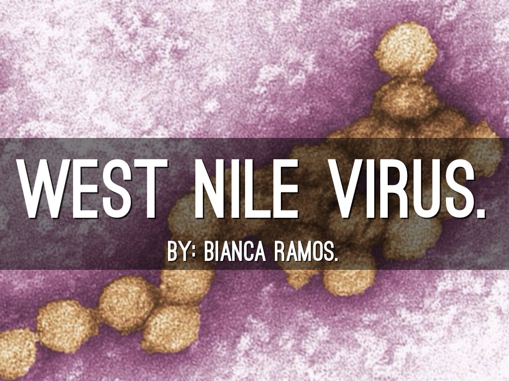 Biancaramos-7th pd west Nile virus.