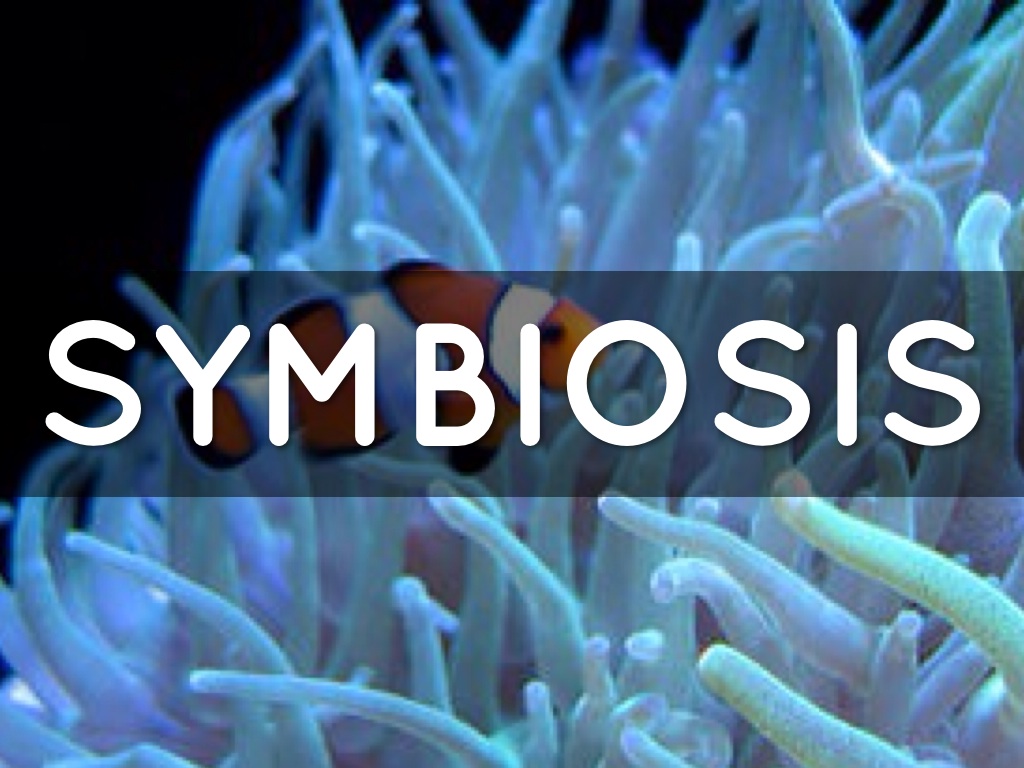 Symbiosis