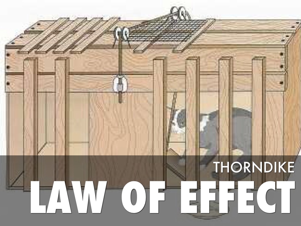 Thorndike Law Of Effect / Thorndike's Law of Effect Trial and Error