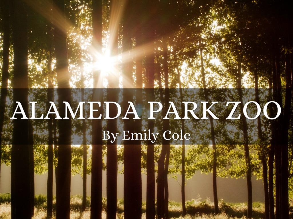 Alameda Park Zoo