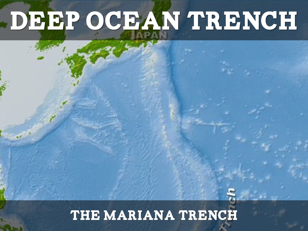 the mariana trench science report the mariana trench science report