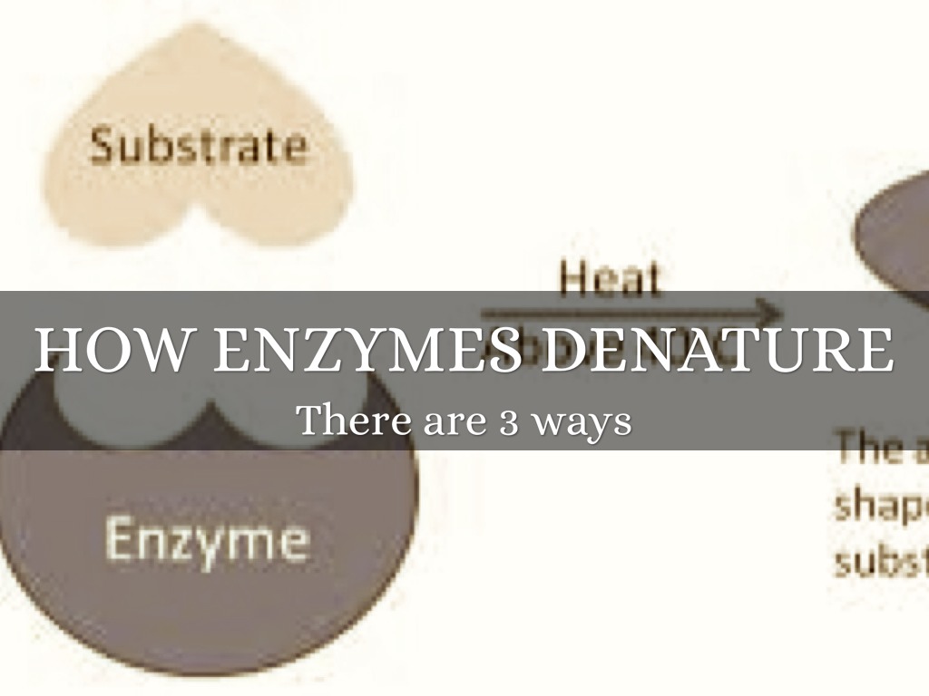 Enzyme Challenge by sxv5782