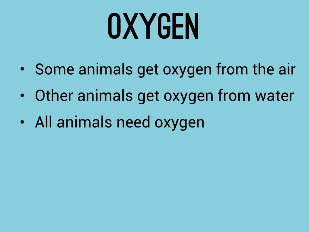 Science 2.1 by Jen Christensen