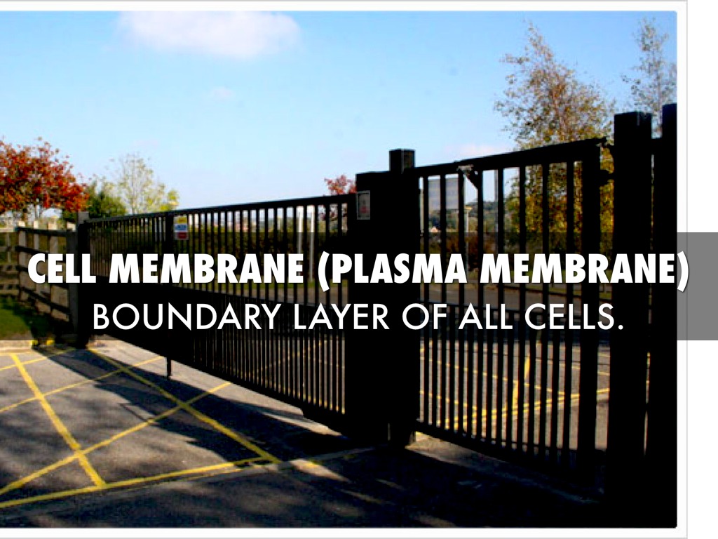 Ramos Barrett LoBuglio