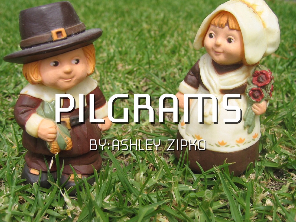 Pilgrams