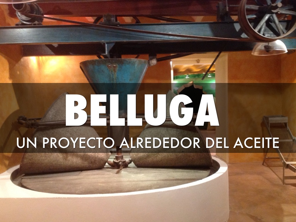 PROYECTO BELLUGA