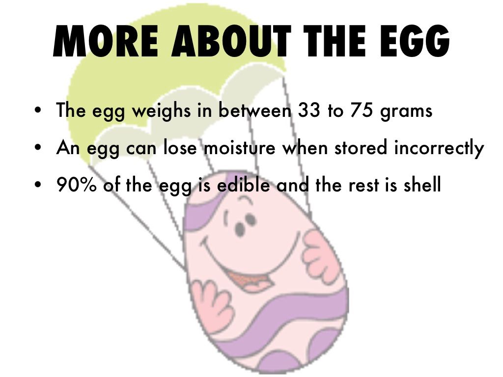 The Amazing Eggo Project by Emily Rizzo