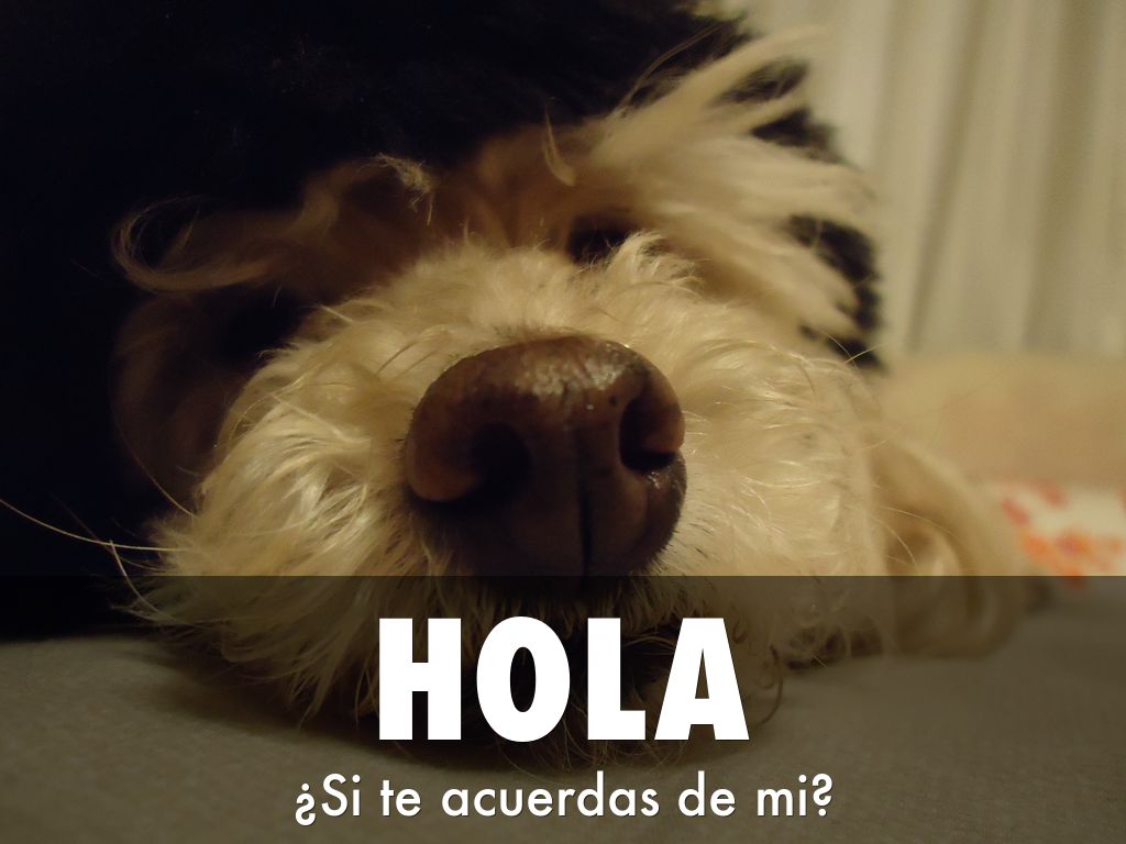 Hola