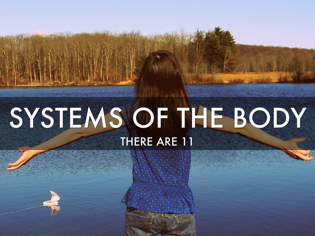 Human Body Systems 