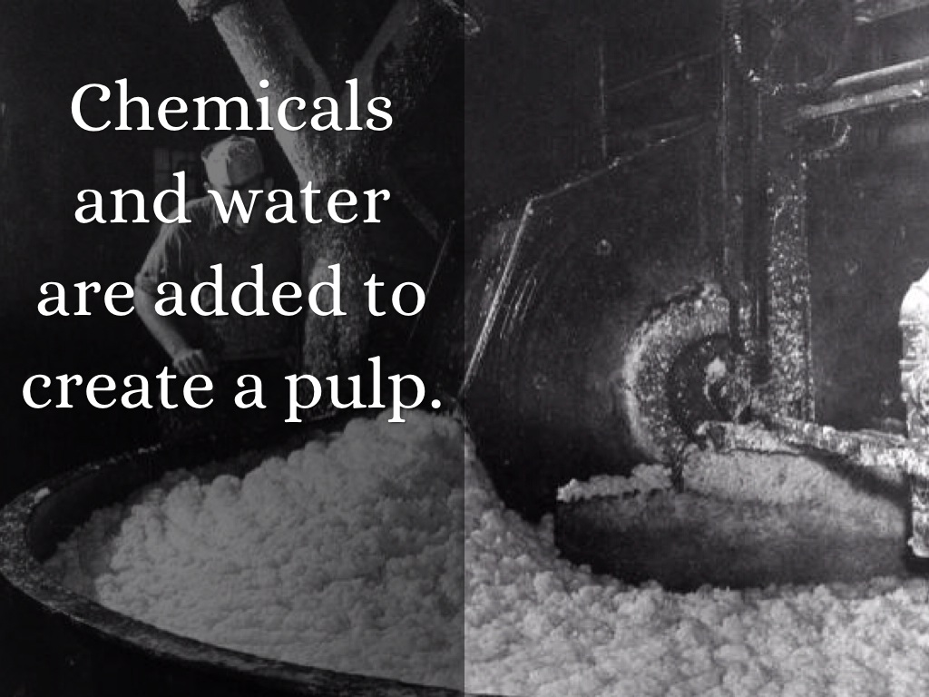 The Negatives Of Recycling by Sarah Maul