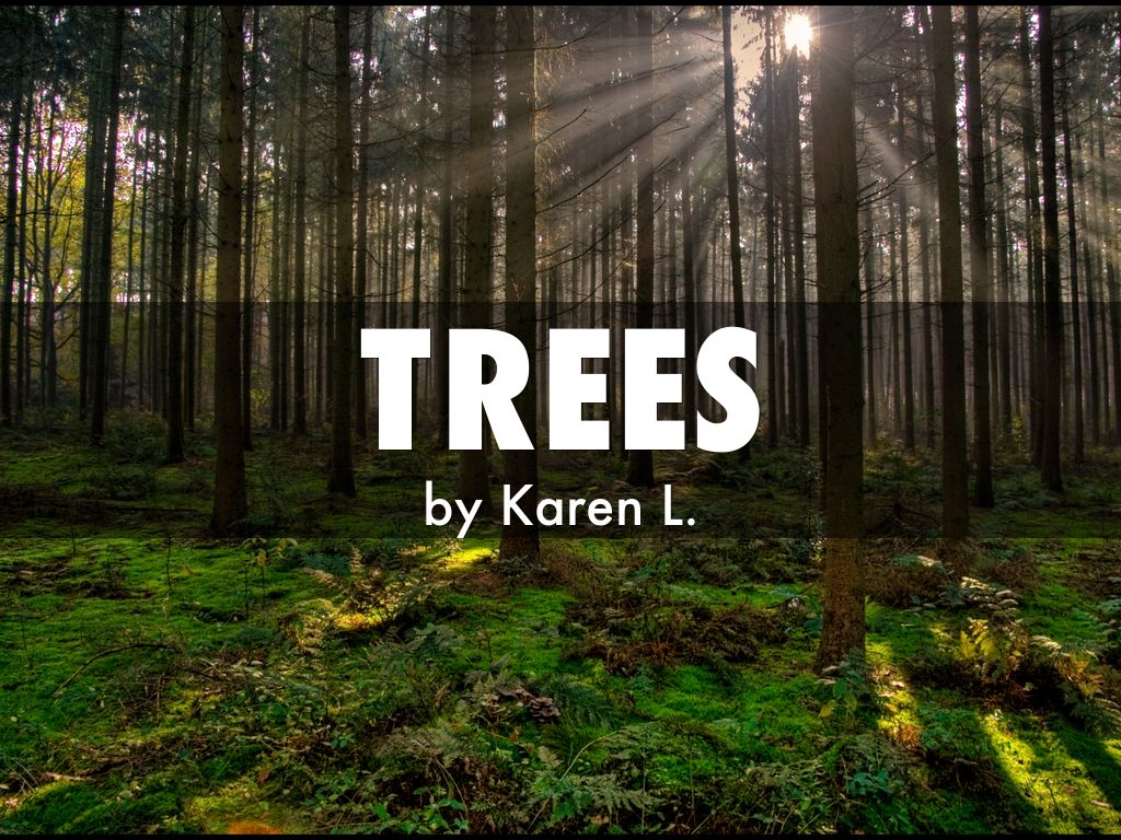 Pleasing Tree by Brooke Larson