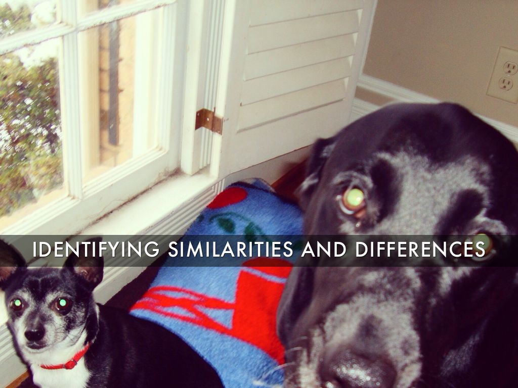 Identifying Similarities And Differences