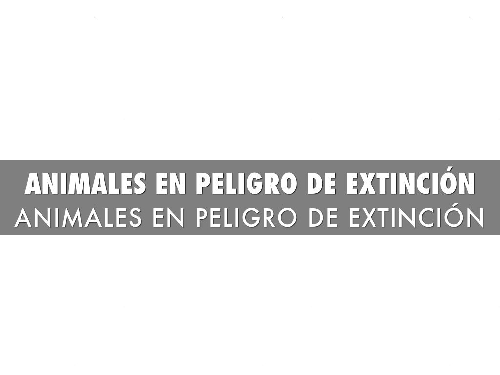 ANIMALES EN PELIGRO DE EXTINCIÓN