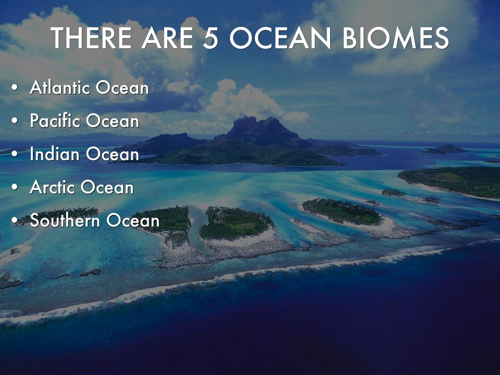 Biome Ocean Facts