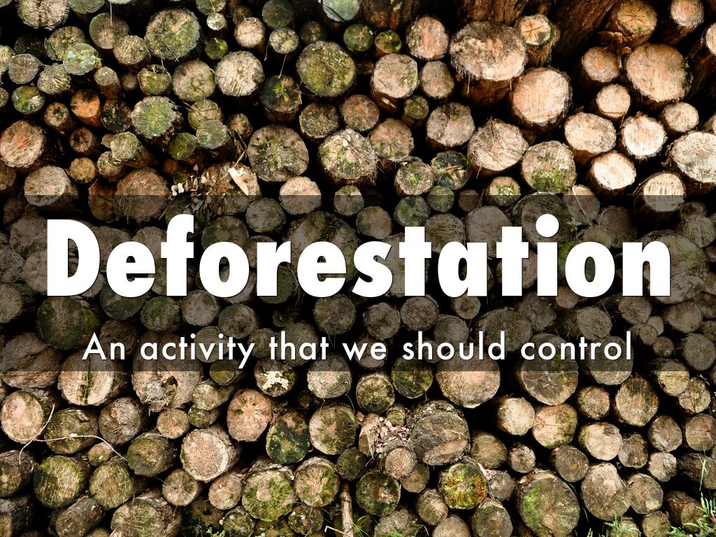 Deforestation