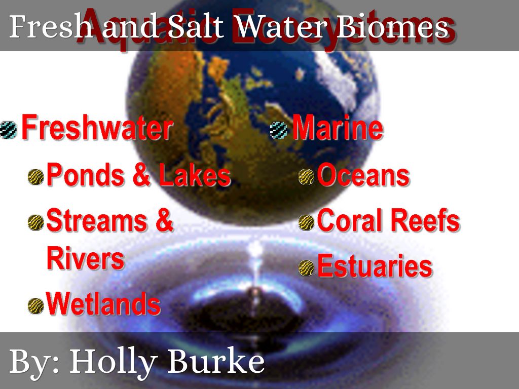 Fresh and Salt Water Biomes by Holly B