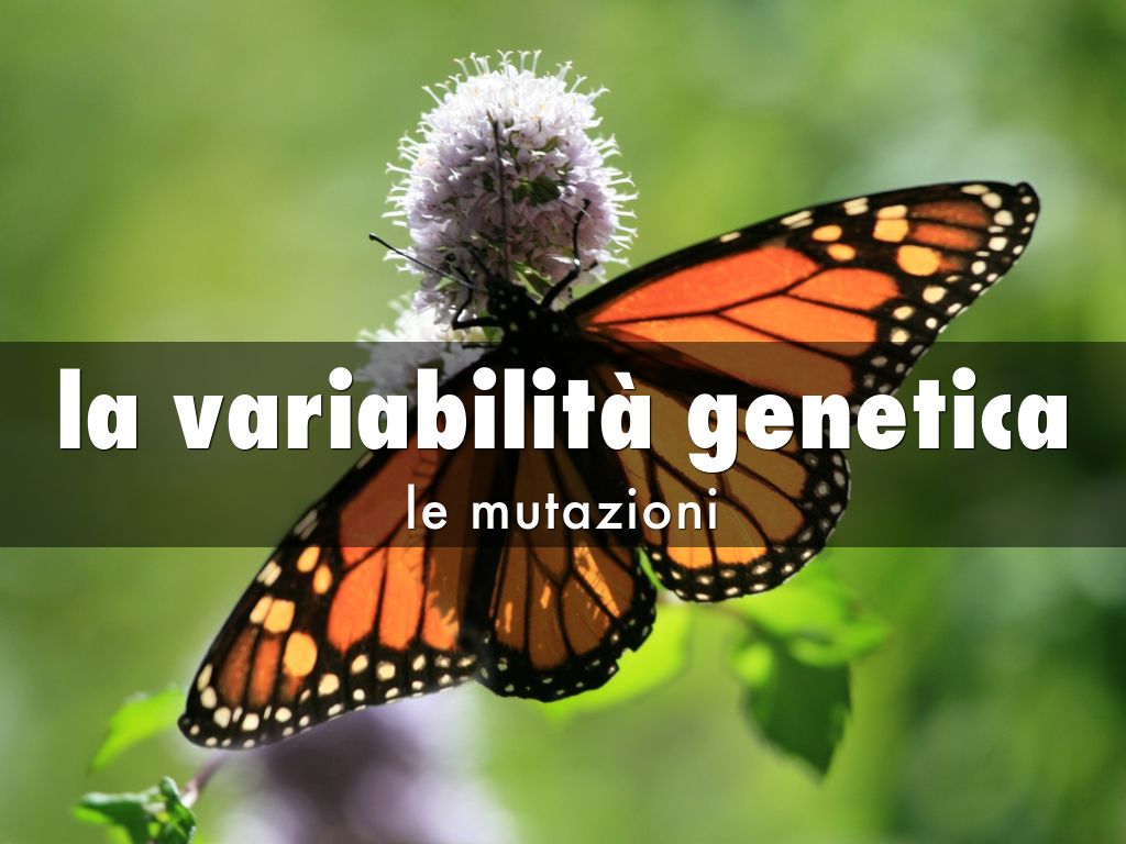la variabilità genetica