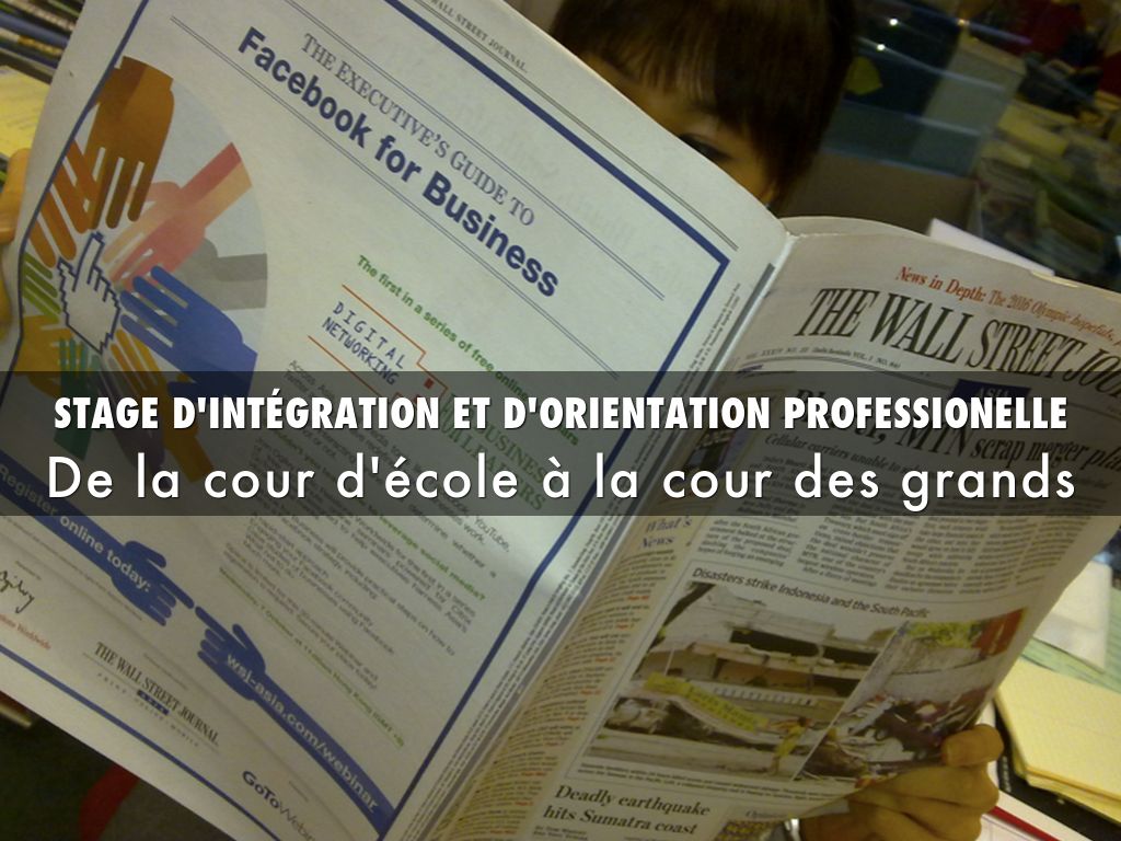 STAGE D'INTÉGRATION ET D'ORIENTATION PROFESSIONELLE