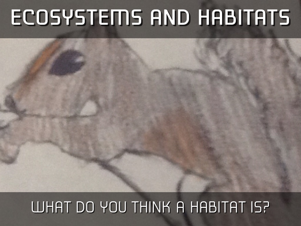 Habitats And Ecosystems