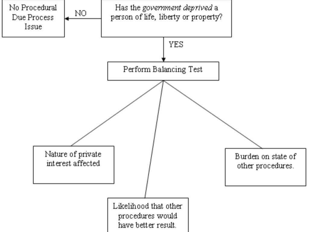 Due Process by Lauren Chittock