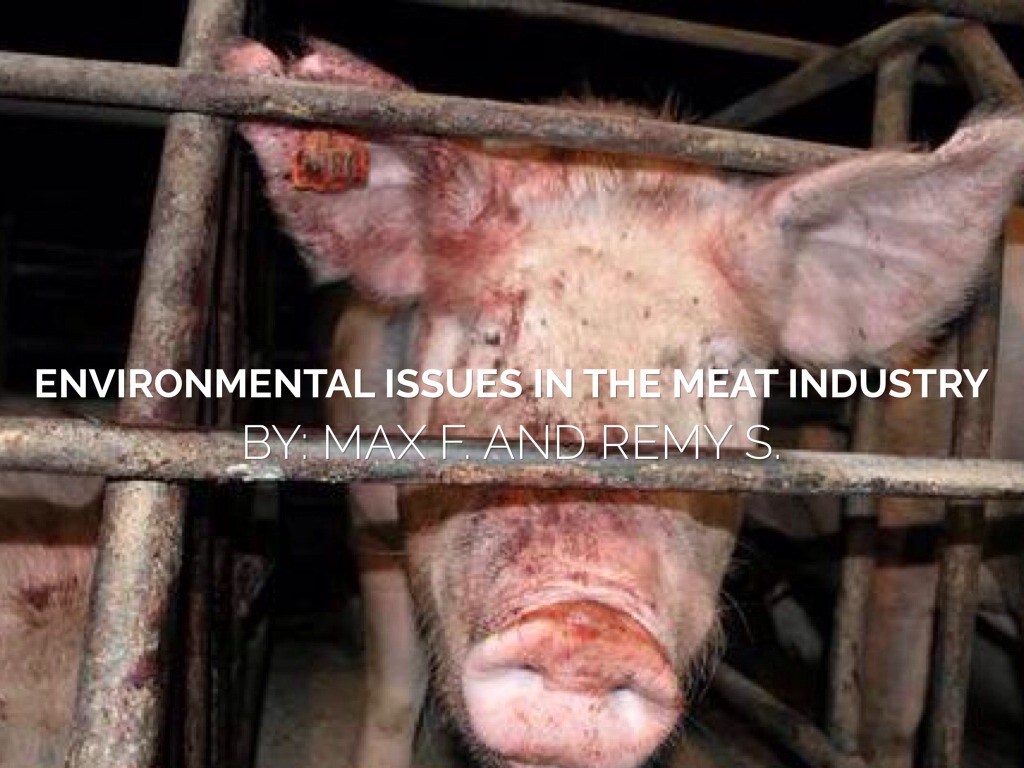 hrs.science.eireport.maxf.remys