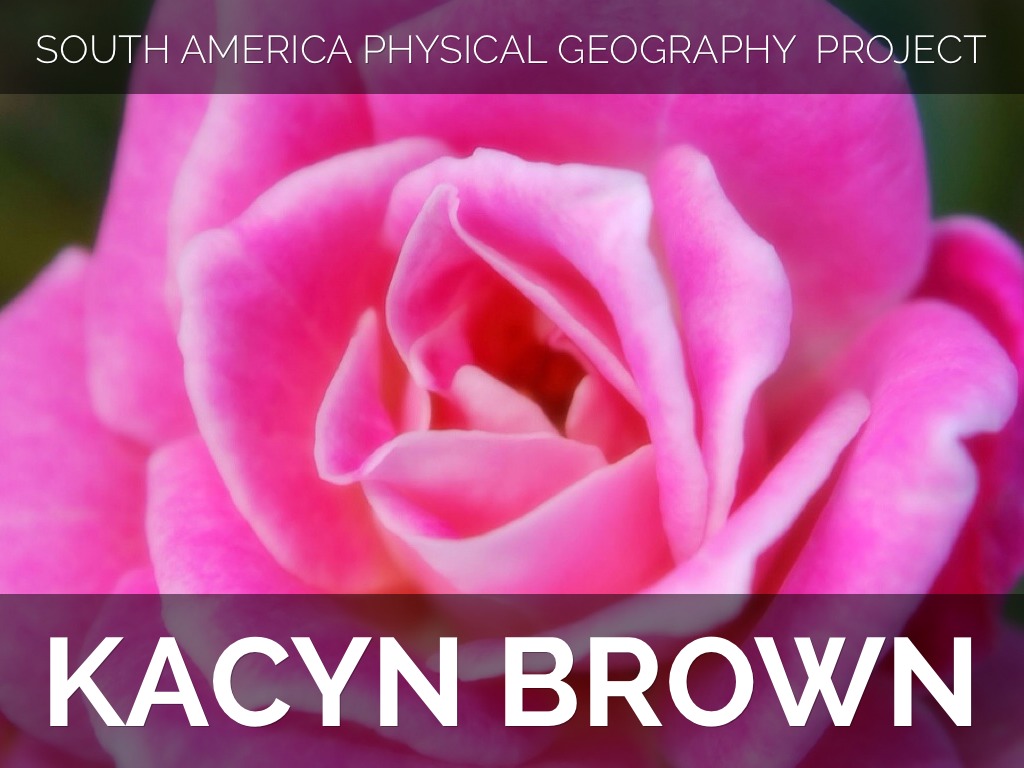 Social Studies Project