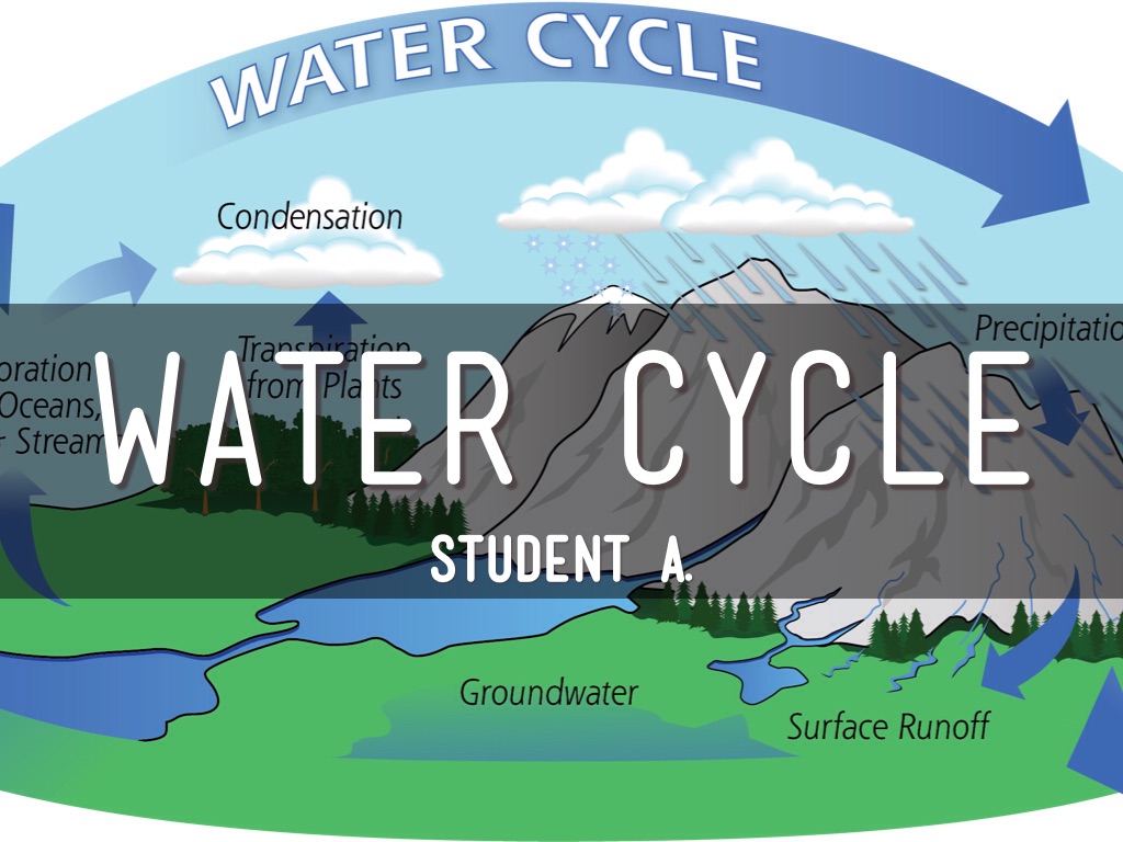Student Sample - Water Cycle