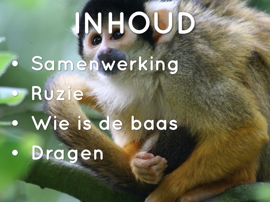 Doodshooftaap by Sanne Ribbink