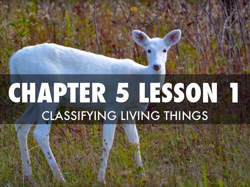 Science Chapter 5 Lesson 1
